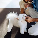 St.mauritius 4* Forte dei Marmi