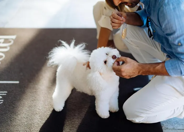 St.mauritius 4* 포르데데이마르미